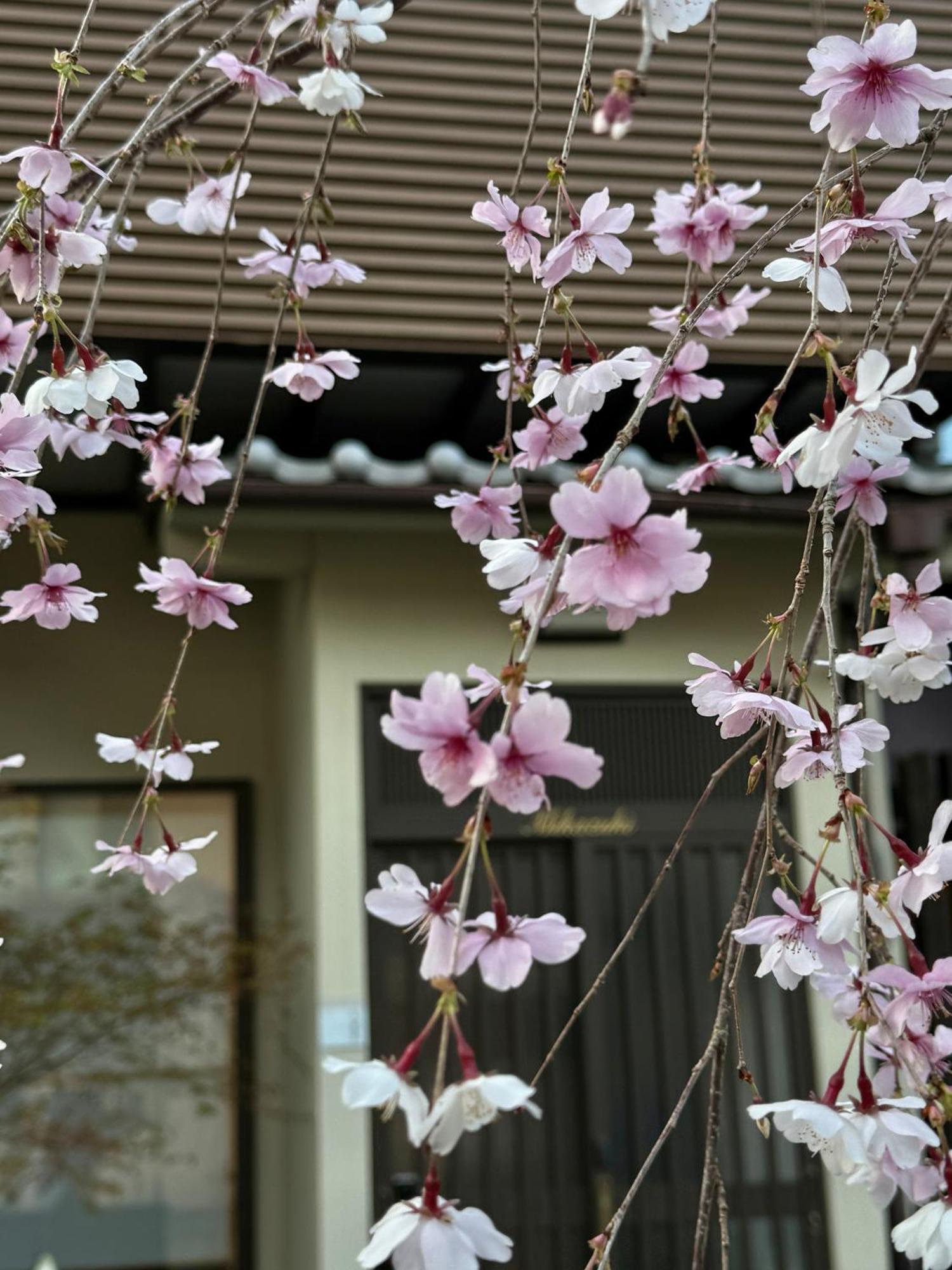 京都 三日月 Mikazuki Exteriér fotografie